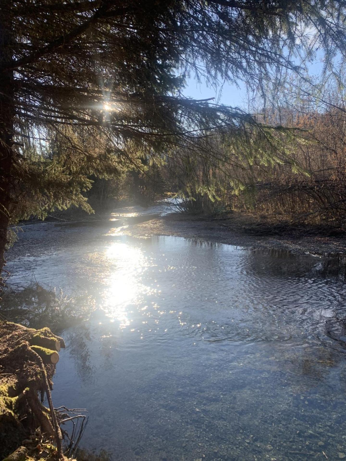 Bear Bottoms At Salmon Creek Villa Seward Exterior photo